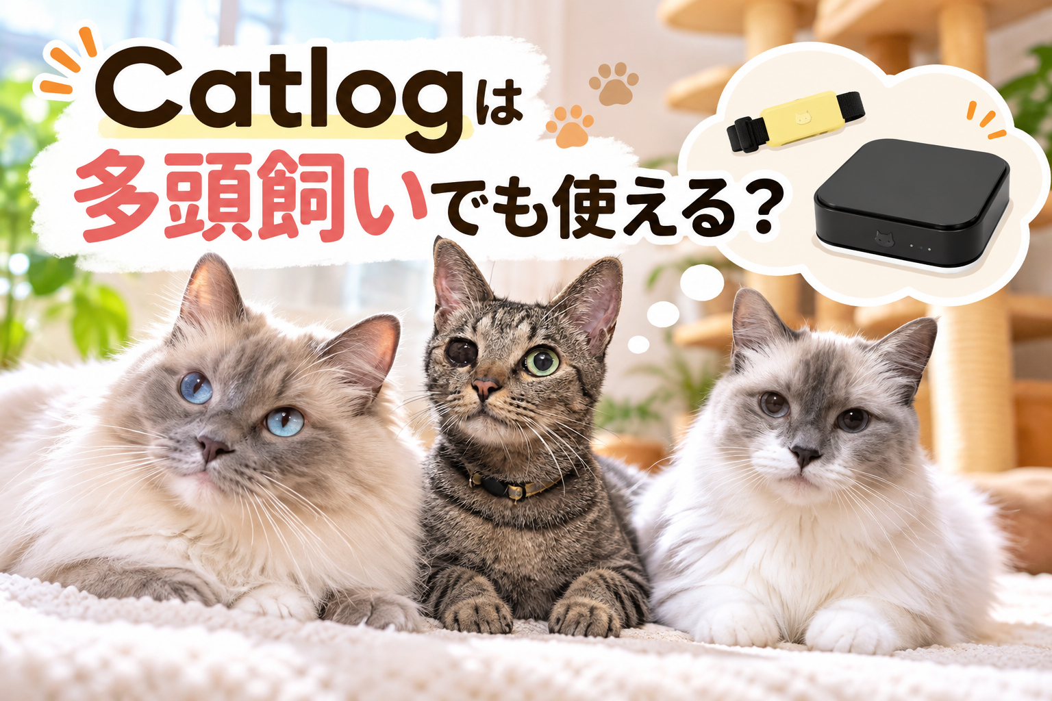 Catlogは多頭飼いでも使える？